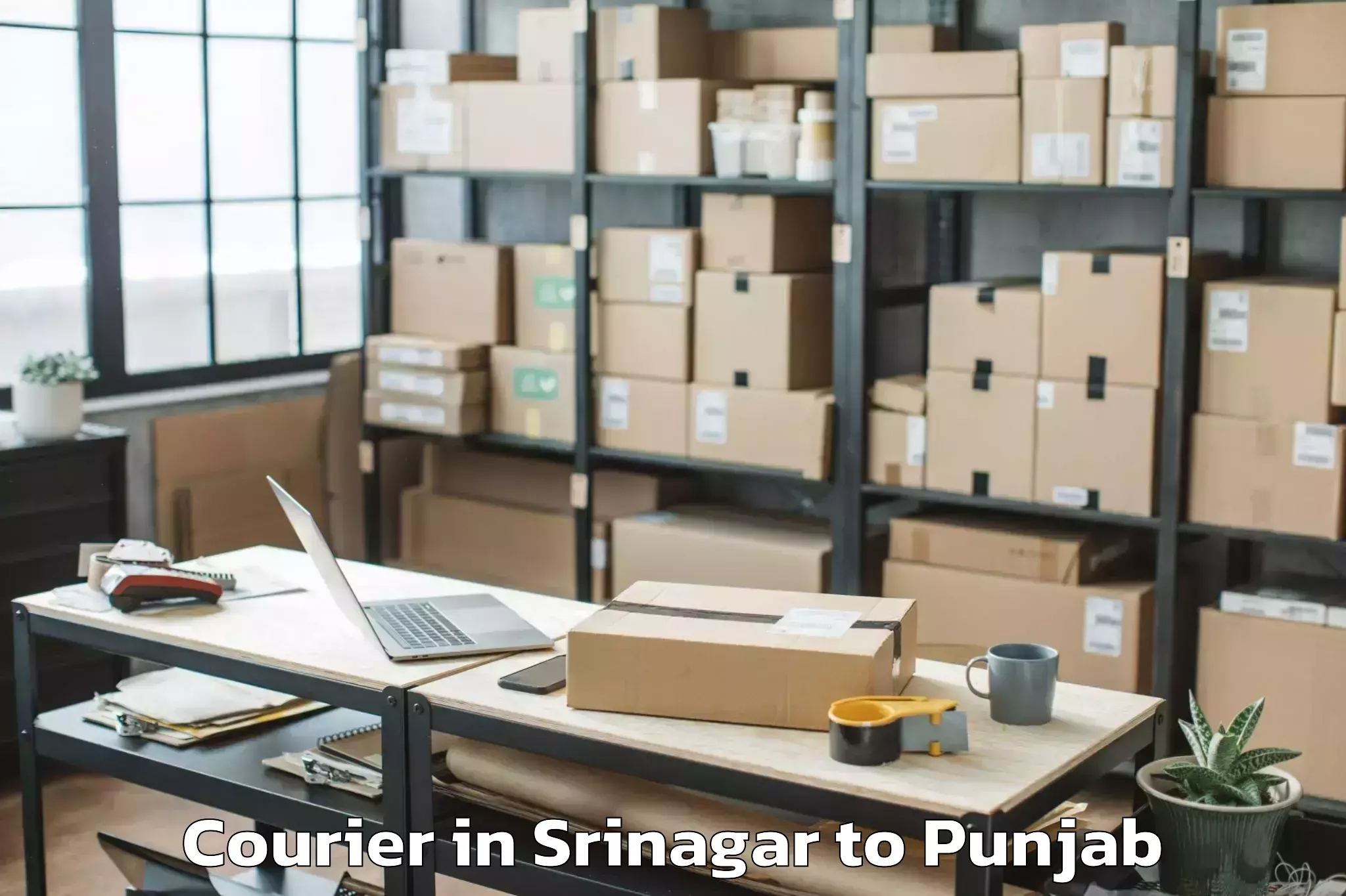 Professional Srinagar to Ludhiana West Courier